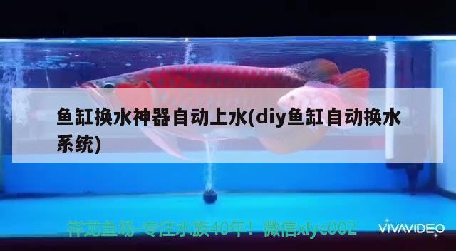 魚缸換水神器自動上水(diy魚缸自動換水系統(tǒng)) 其他益生菌 第1張