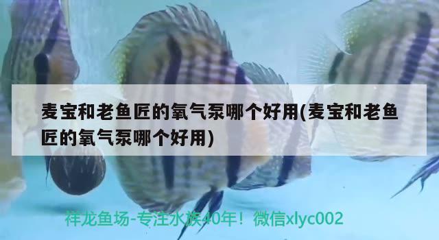 麥寶和老魚匠的氧氣泵哪個(gè)好用(麥寶和老魚匠的氧氣泵哪個(gè)好用)