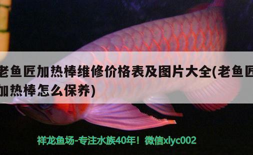 老魚匠加熱棒維修價(jià)格表及圖片大全(老魚匠加熱棒怎么保養(yǎng)) 老魚匠