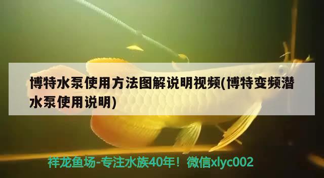 博特水泵使用方法圖解說明視頻(博特變頻潛水泵使用說明) 博特水族