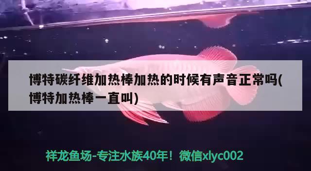 博特碳纖維加熱棒加熱的時(shí)候有聲音正常嗎(博特加熱棒一直叫) 博特水族