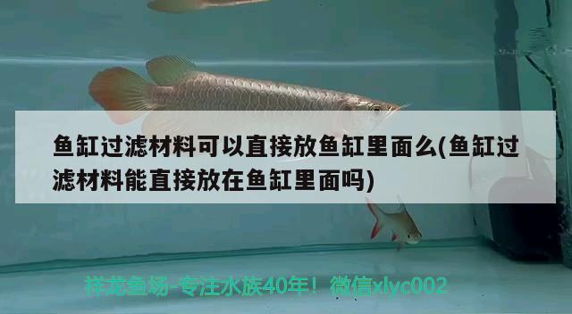 魚(yú)缸過(guò)濾材料可以直接放魚(yú)缸里面么(魚(yú)缸過(guò)濾材料能直接放在魚(yú)缸里面嗎) 申古三間魚(yú)