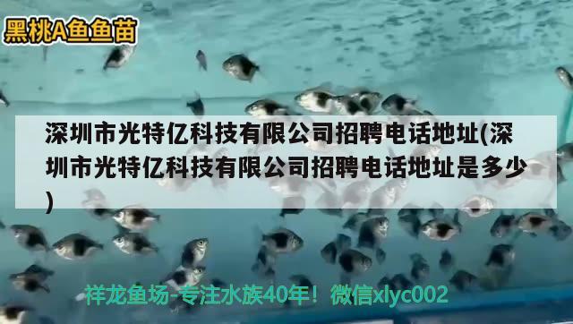 深圳市光特億科技有限公司招聘電話地址(深圳市光特億科技有限公司招聘電話地址是多少) 光特億