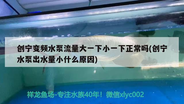 創(chuàng)寧變頻水泵流量大一下小一下正常嗎(創(chuàng)寧水泵出水量小什么原因)