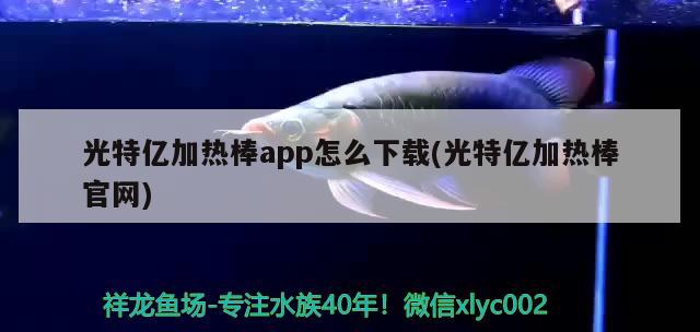 光特億加熱棒app怎么下載(光特億加熱棒官網(wǎng))