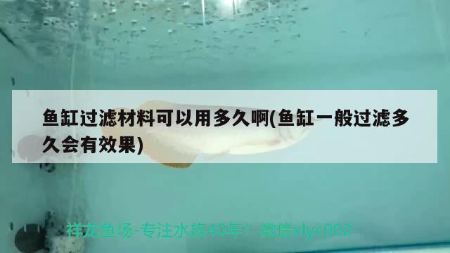 魚缸過濾材料可以用多久啊(魚缸一般過濾多久會(huì)有效果) 稀有金龍魚