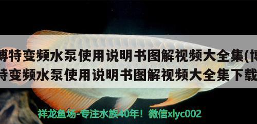 博特變頻水泵使用說明書圖解視頻大全集(博特變頻水泵使用說明書圖解視頻大全集下載)