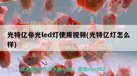 光特億帝光led燈使用視頻(光特億燈怎么樣) 光特億