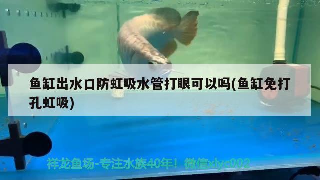 魚缸出水口防虹吸水管打眼可以嗎(魚缸免打孔虹吸)