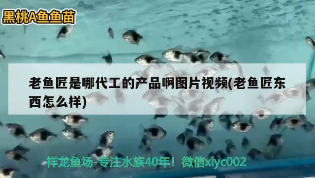 老魚匠是哪代工的產品啊圖片視頻(老魚匠東西怎么樣) 老魚匠