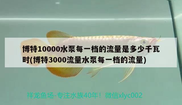 博特10000水泵每一檔的流量是多少千瓦時(shí)(博特3000流量水泵每一檔的流量) 博特水族