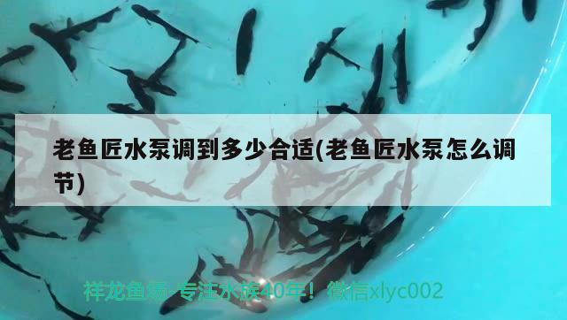 老魚匠水泵調(diào)到多少合適(老魚匠水泵怎么調(diào)節(jié)) 老魚匠