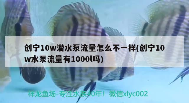 創(chuàng)寧10w潛水泵流量怎么不一樣(創(chuàng)寧10w水泵流量有1000l嗎) 創(chuàng)寧水族