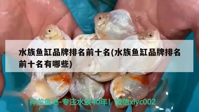 水族魚缸品牌排名前十名(水族魚缸品牌排名前十名有哪些) 泰國虎魚（泰虎）