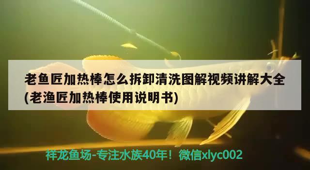 老魚匠加熱棒怎么拆卸清洗圖解視頻講解大全(老漁匠加熱棒使用說明書) 老魚匠