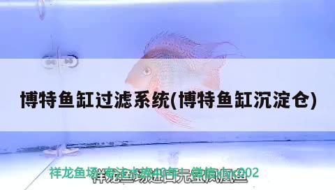 博特魚缸過濾系統(tǒng)(博特魚缸沉淀倉)