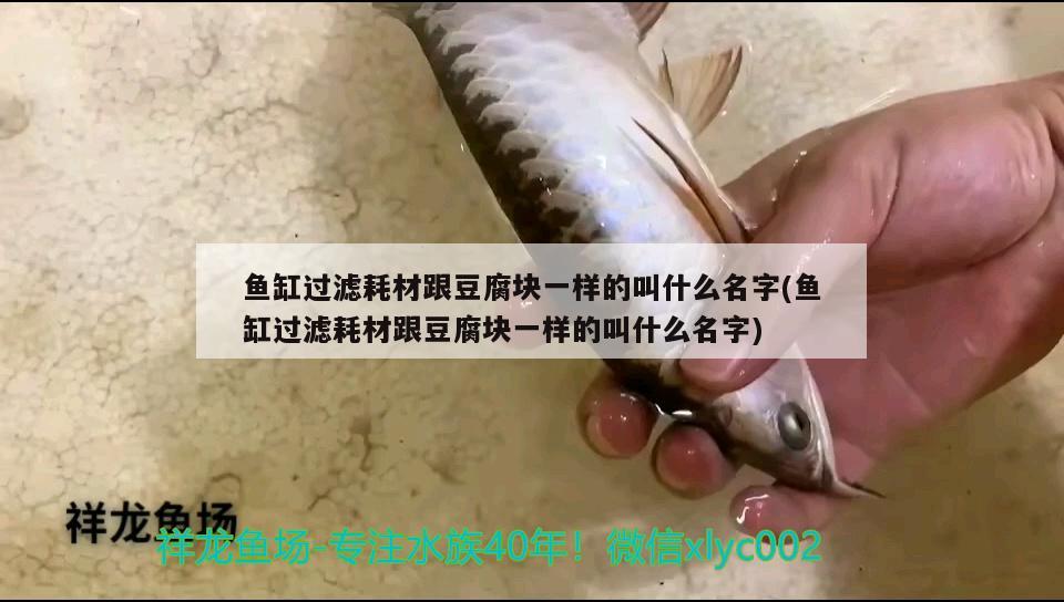 魚缸過濾耗材跟豆腐塊一樣的叫什么名字(魚缸過濾耗材跟豆腐塊一樣的叫什么名字)