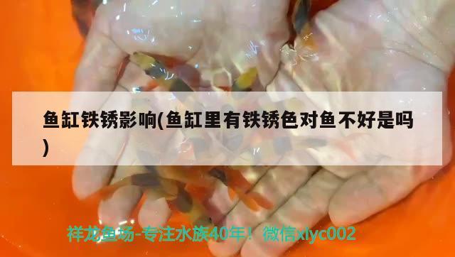 魚缸鐵銹影響(魚缸里有鐵銹色對魚不好是嗎) 白子關(guān)刀魚