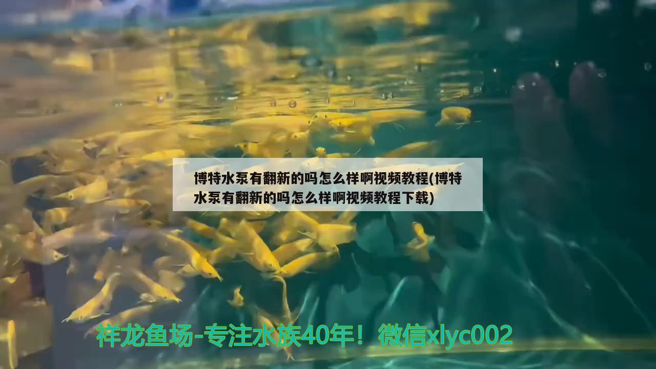 博特水泵有翻新的嗎怎么樣啊視頻教程(博特水泵有翻新的嗎怎么樣啊視頻教程下載)