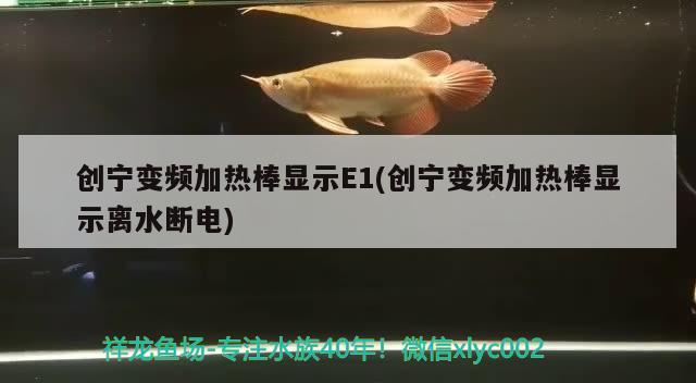 創(chuàng)寧變頻加熱棒顯示E1(創(chuàng)寧變頻加熱棒顯示離水?dāng)嚯? 創(chuàng)寧水族