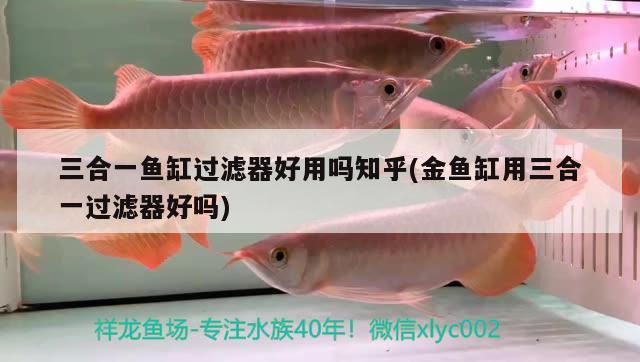 三合一魚缸過濾器好用嗎知乎(金魚缸用三合一過濾器好嗎)