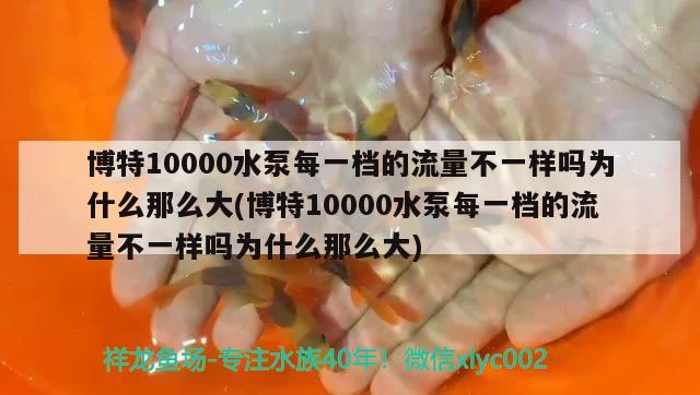 博特10000水泵每一檔的流量不一樣嗎為什么那么大(博特10000水泵每一檔的流量不一樣嗎為什么那么大)