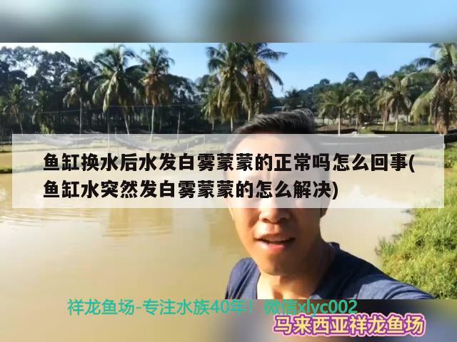 魚缸換水后水發(fā)白霧蒙蒙的正常嗎怎么回事(魚缸水突然發(fā)白霧蒙蒙的怎么解決) 大嘴鯨魚