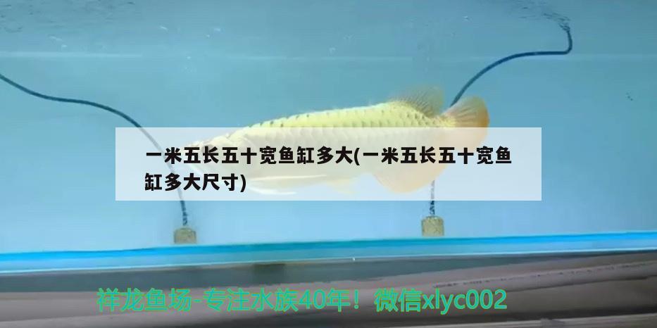 一米五長五十寬魚缸多大(一米五長五十寬魚缸多大尺寸) 虎魚百科