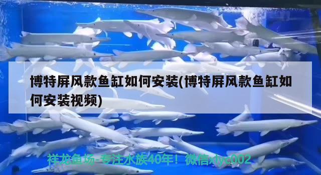 博特屏風(fēng)款魚缸如何安裝(博特屏風(fēng)款魚缸如何安裝視頻) 博特水族