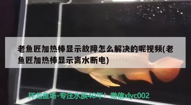 老魚匠加熱棒顯示故障怎么解決的呢視頻(老魚匠加熱棒顯示離水?dāng)嚯?