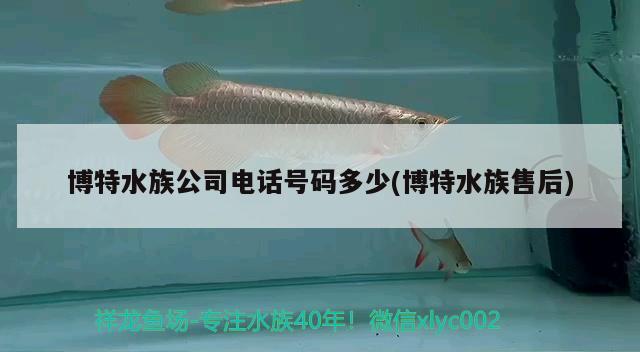 博特水族公司電話號碼多少(博特水族售后) 博特水族