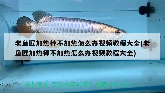 老魚(yú)匠加熱棒不加熱怎么辦視頻教程大全(老魚(yú)匠加熱棒不加熱怎么辦視頻教程大全) 老魚(yú)匠