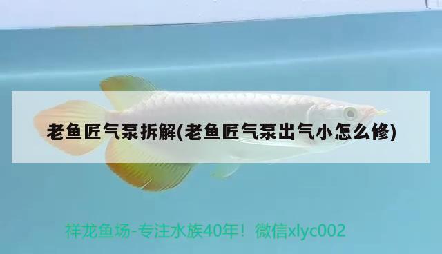 老魚(yú)匠氣泵拆解(老魚(yú)匠氣泵出氣小怎么修)