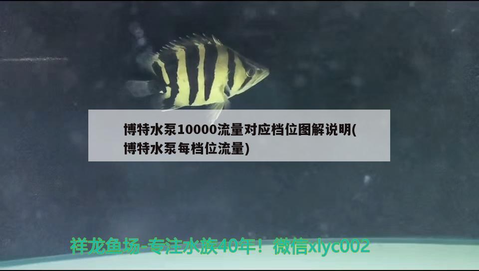 博特水泵10000流量對應(yīng)檔位圖解說明(博特水泵每檔位流量)