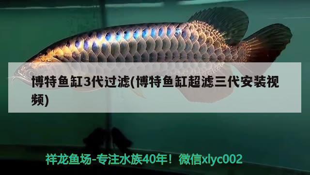 博特魚缸3代過濾(博特魚缸超濾三代安裝視頻)