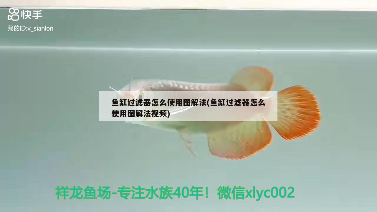 魚缸過(guò)濾器怎么使用圖解法(魚缸過(guò)濾器怎么使用圖解法視頻) 森森魚缸