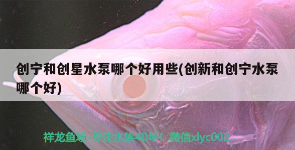 創(chuàng)寧和創(chuàng)星水泵哪個(gè)好用些(創(chuàng)新和創(chuàng)寧水泵哪個(gè)好) 創(chuàng)寧水族