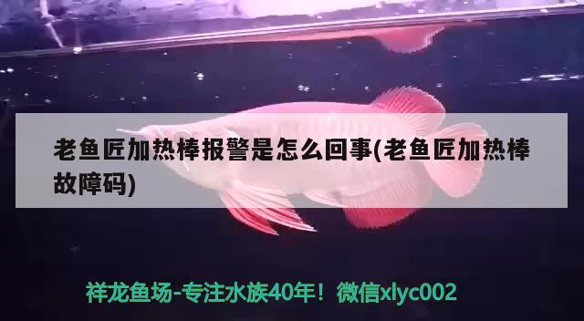 老魚匠加熱棒報(bào)警是怎么回事(老魚匠加熱棒故障碼)