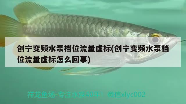 創(chuàng)寧變頻水泵檔位流量虛標(biāo)(創(chuàng)寧變頻水泵檔位流量虛標(biāo)怎么回事) 創(chuàng)寧水族