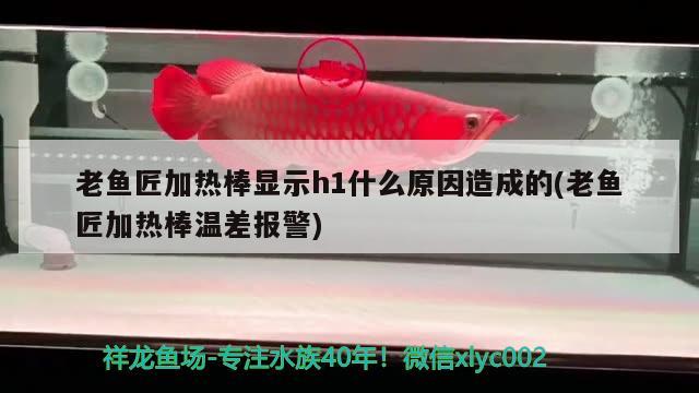 老魚(yú)匠加熱棒顯示h1什么原因造成的(老魚(yú)匠加熱棒溫差報(bào)警) 老魚(yú)匠