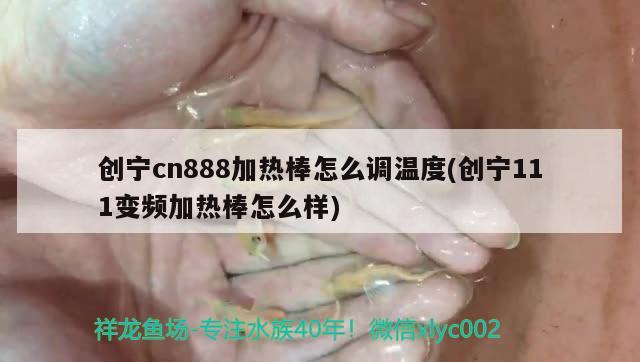 創(chuàng)寧cn888加熱棒怎么調(diào)溫度(創(chuàng)寧111變頻加熱棒怎么樣) 創(chuàng)寧水族