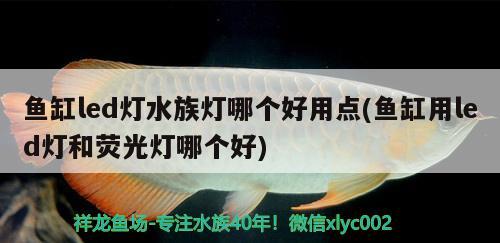 魚缸led燈水族燈哪個好用點(魚缸用led燈和熒光燈哪個好) 魚缸水質(zhì)穩(wěn)定劑