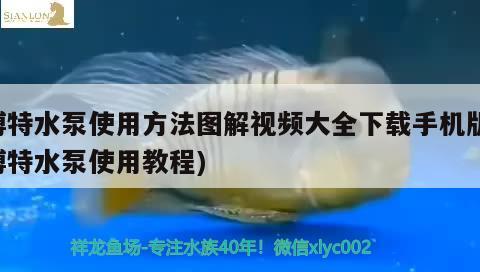 博特水泵使用方法圖解視頻大全下載手機(jī)版(博特水泵使用教程) 博特水族