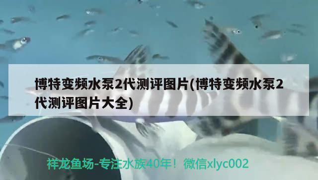 博特變頻水泵2代測評圖片(博特變頻水泵2代測評圖片大全) 博特水族