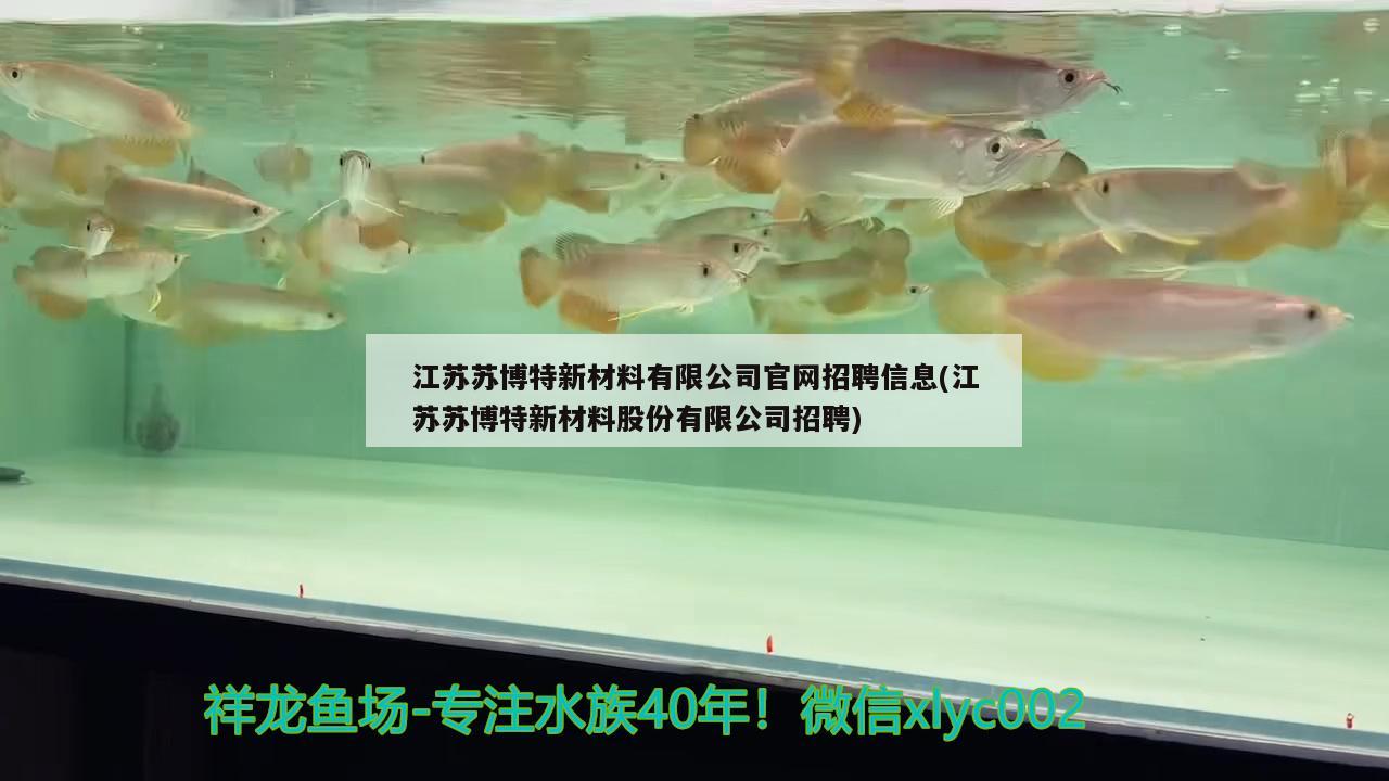 江蘇蘇博特新材料有限公司官網(wǎng)招聘信息(江蘇蘇博特新材料股份有限公司招聘) 博特水族