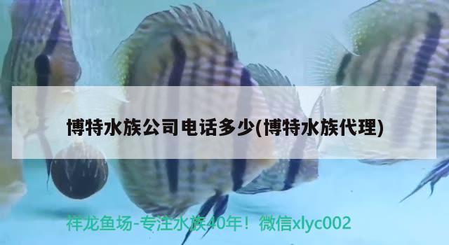 博特水族公司電話多少(博特水族代理) 博特水族