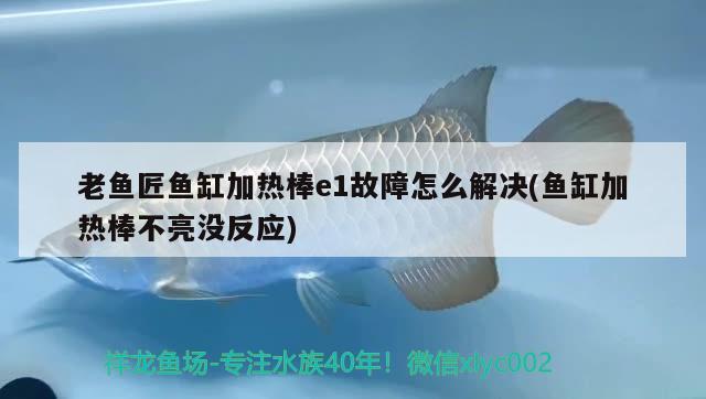 老魚(yú)匠魚(yú)缸加熱棒e1故障怎么解決(魚(yú)缸加熱棒不亮沒(méi)反應(yīng)) 老魚(yú)匠 第4張