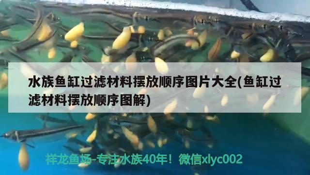 水族魚缸過濾材料擺放順序圖片大全(魚缸過濾材料擺放順序圖解)