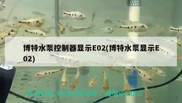 博特水泵控制器顯示E02(博特水泵顯示E02)