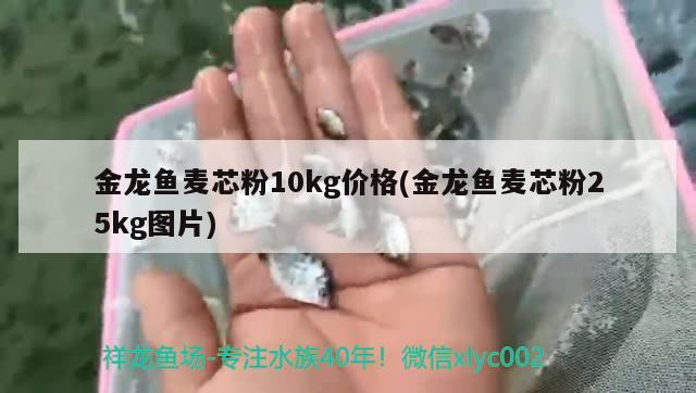 金龍魚麥芯粉10kg價(jià)格(金龍魚麥芯粉25kg圖片) 白條過背金龍魚